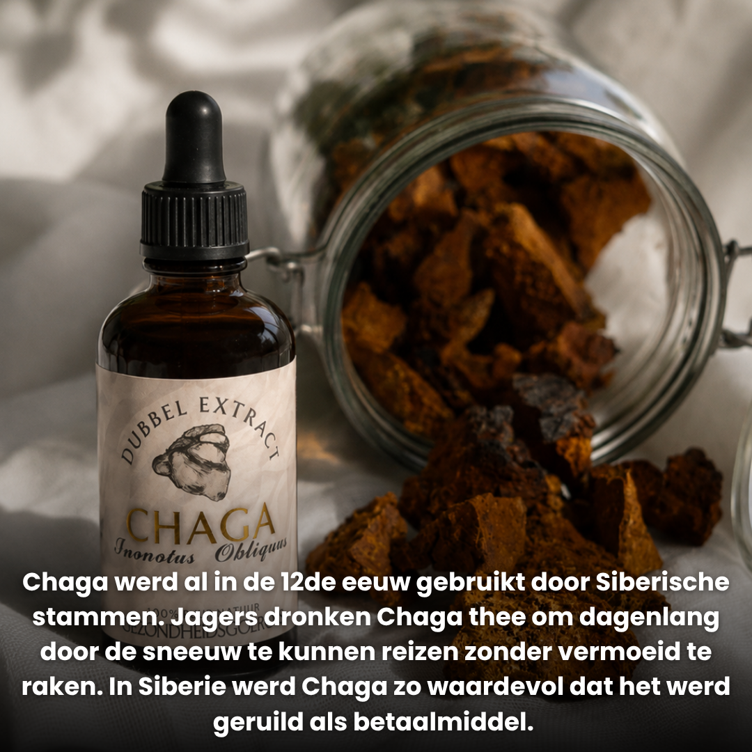 Chaga extract 10:1 | Vloeibaar alcohol & water tinctuur.
