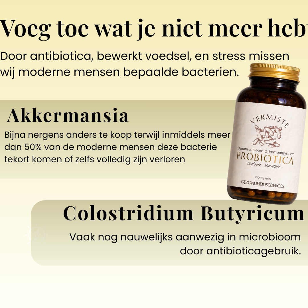 Probiotica Verloren Bacteriestammen | 120 Capsules