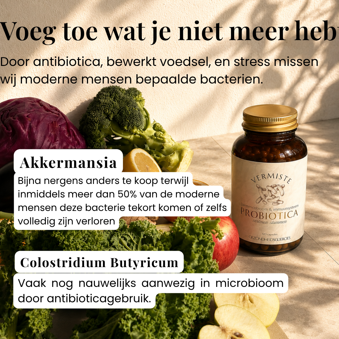 Probiotica Verloren Bacteriestammen | 120 Capsules