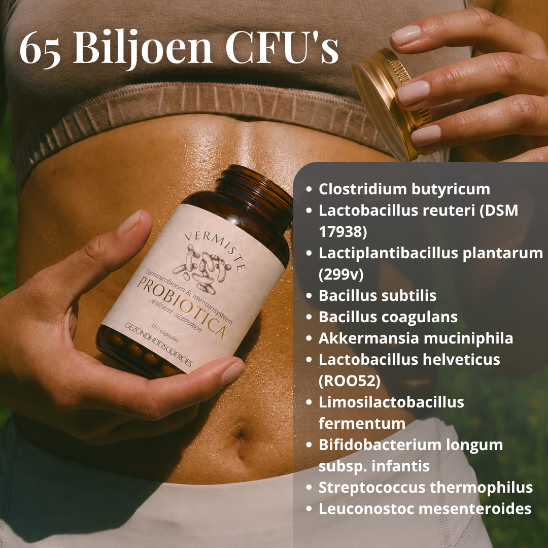 Probiotica Verloren Bacteriestammen | 120 Capsules