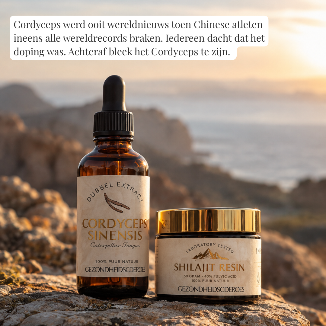 Energie Bundel: Matcha, Shilajit en Cordyceps