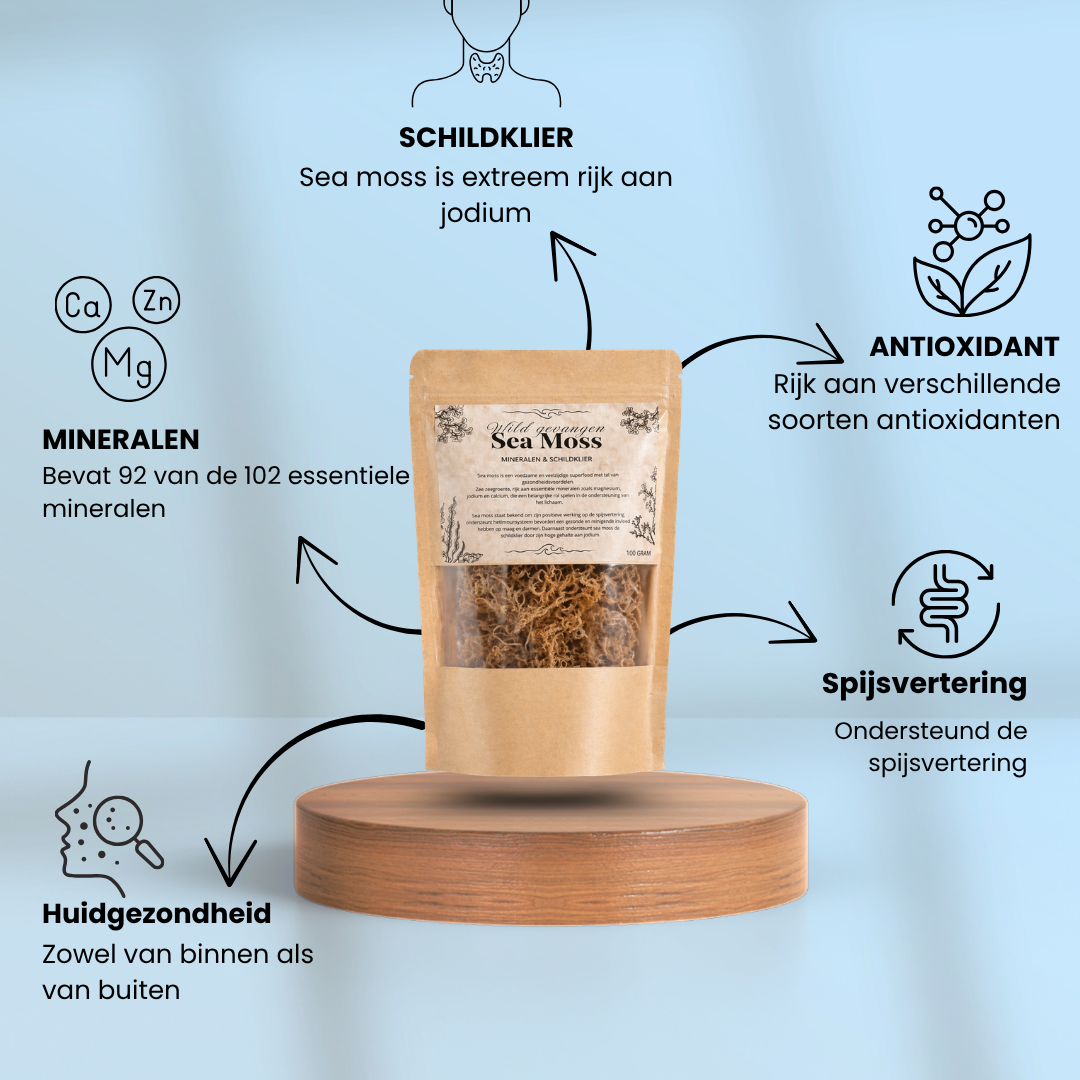 Sea Moss Wildgevangen Zongedroogd | 100 Gram