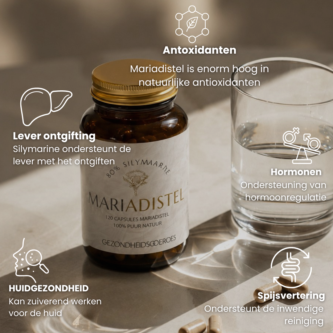 Mariadistel +80% Silymarine | 120 capsules