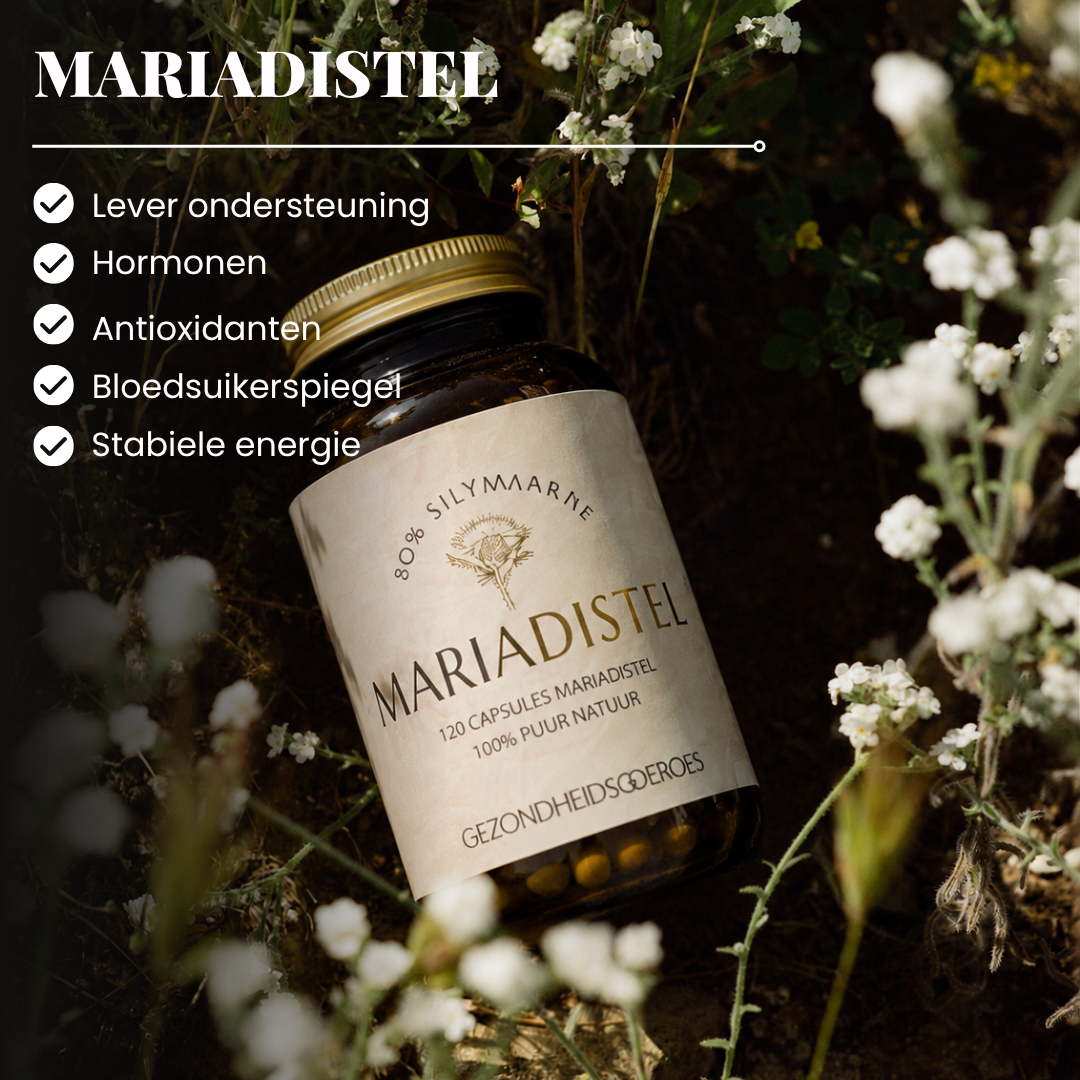 Mariadistel +80% Silymarine | 120 capsules