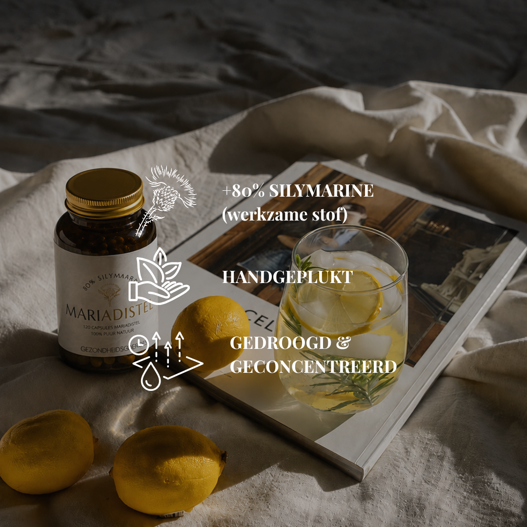 Mariadistel +80% Silymarine | 120 capsules