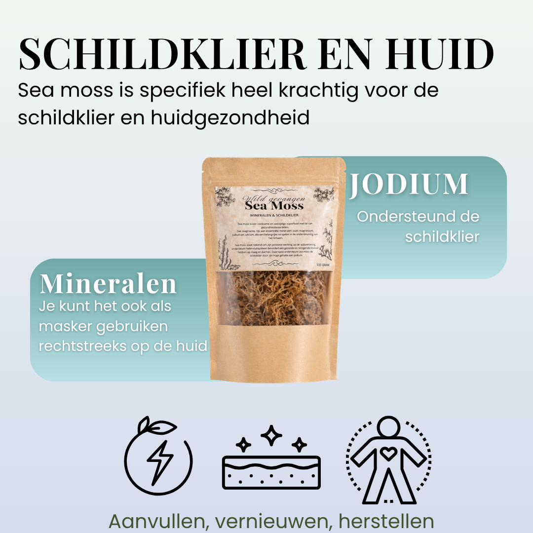Sea Moss Wildgevangen Zongedroogd | 100 Gram