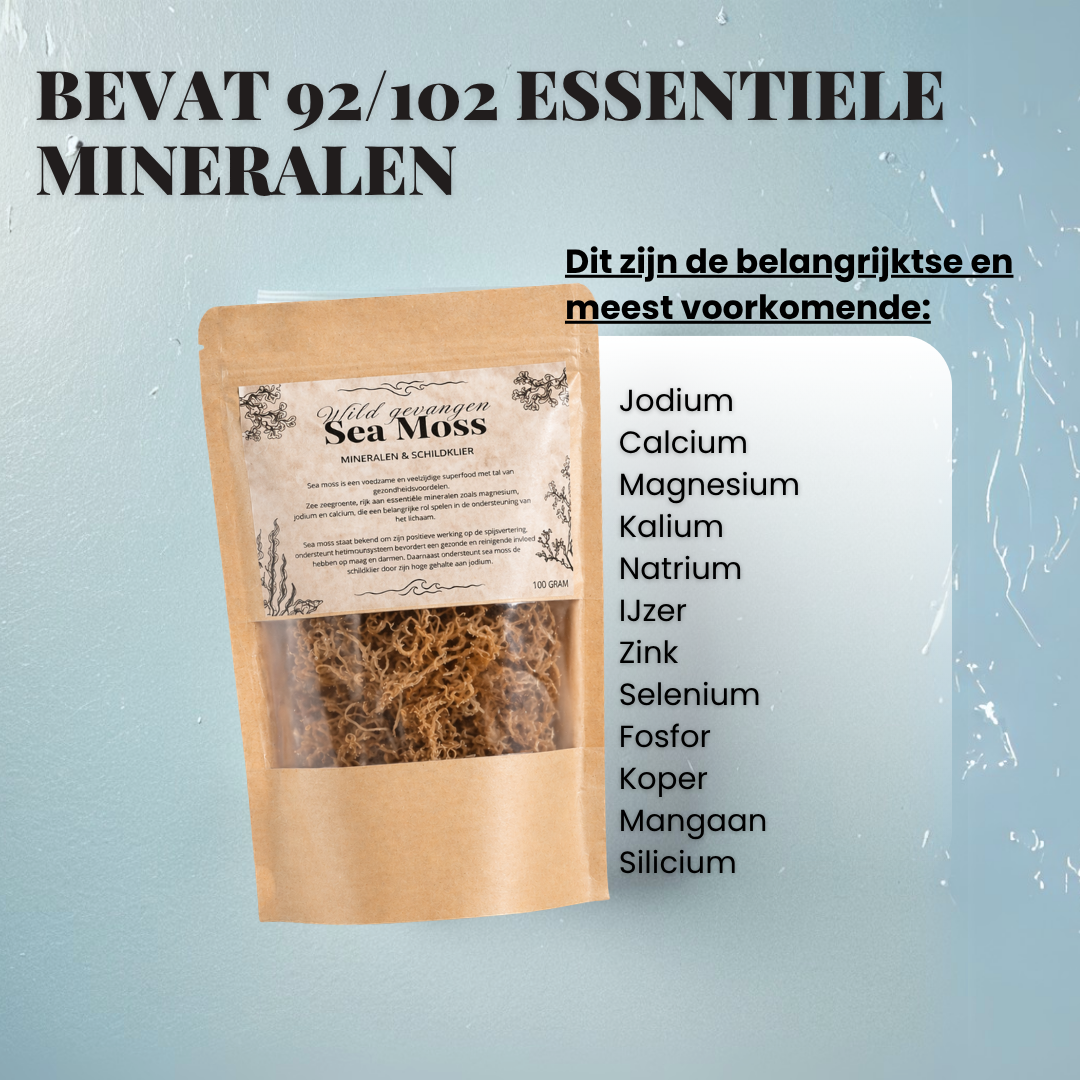 Sea Moss Wildgevangen Zongedroogd | 100 Gram