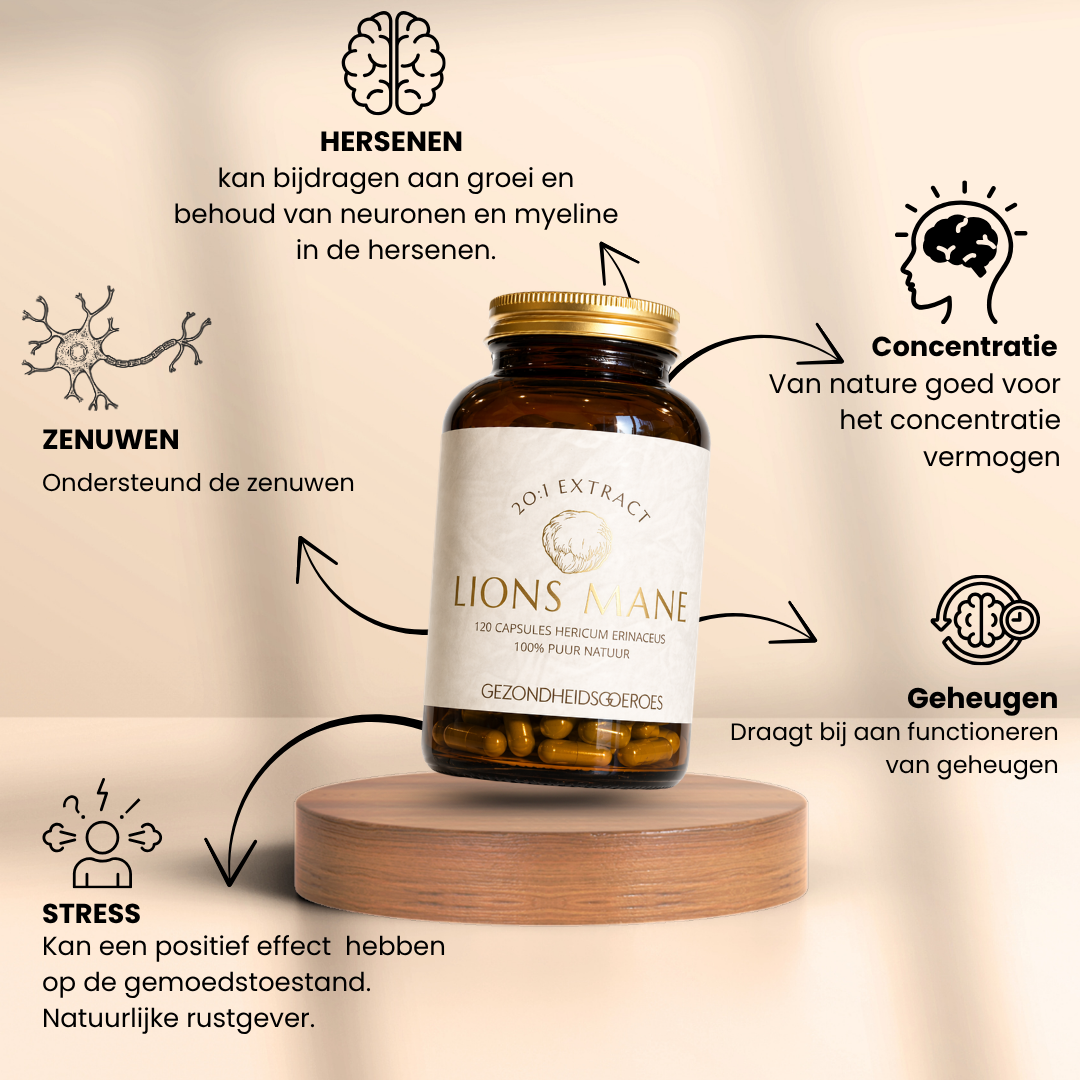 Lions Mane Extract 20:1 | 120 Capsules