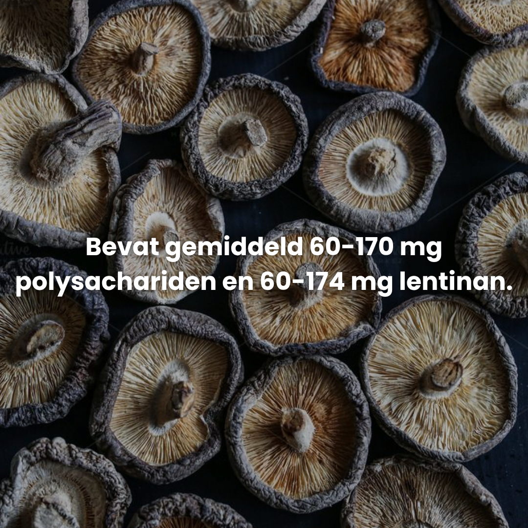 Shiitake Extract 10:1 | Vloeibaar alcohol & water tinctuur.