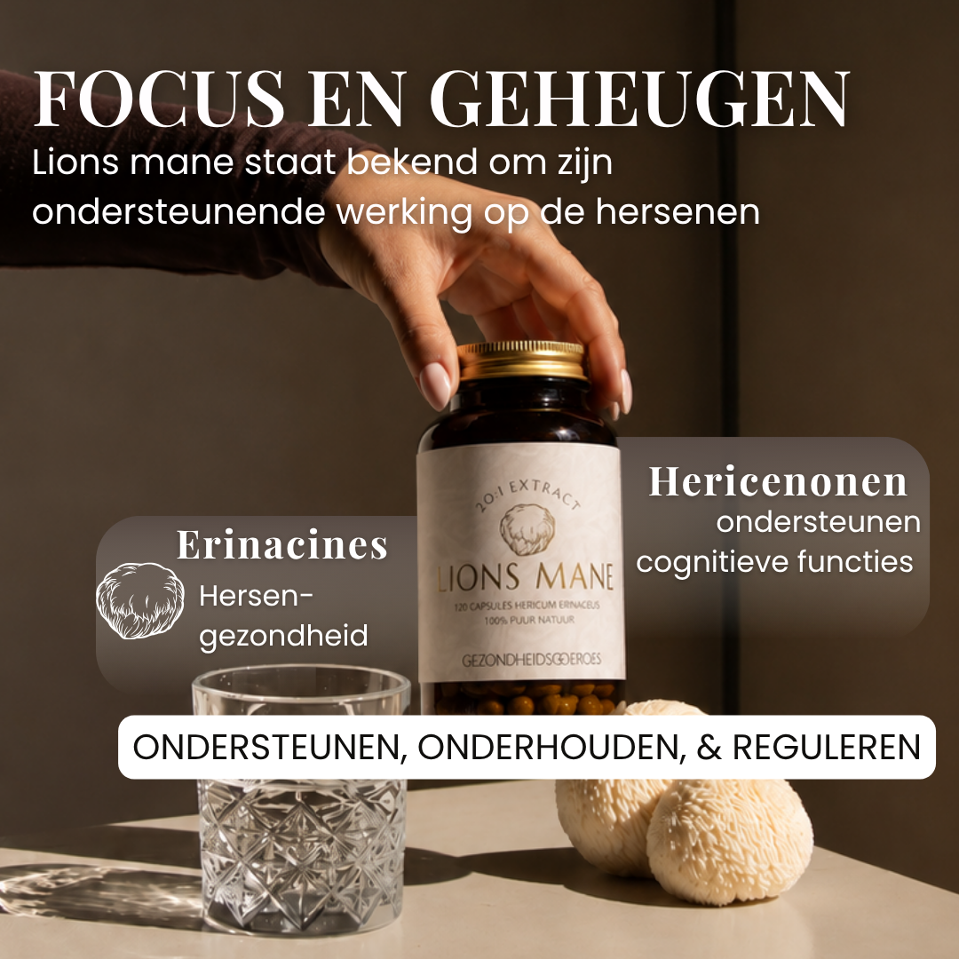 Lions Mane Extract 20:1 | 120 Capsules