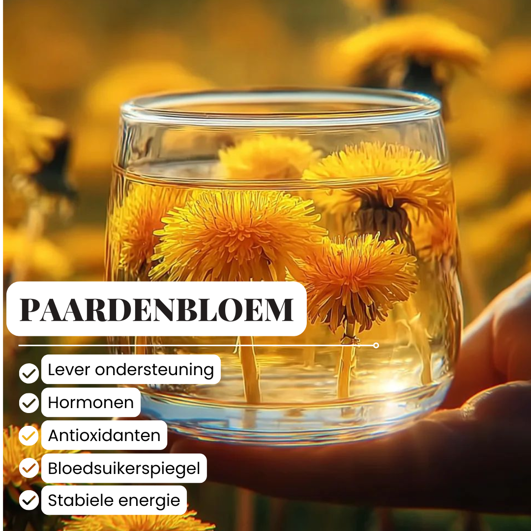 Paardenbloem thee 200 gram | wortel & bloem