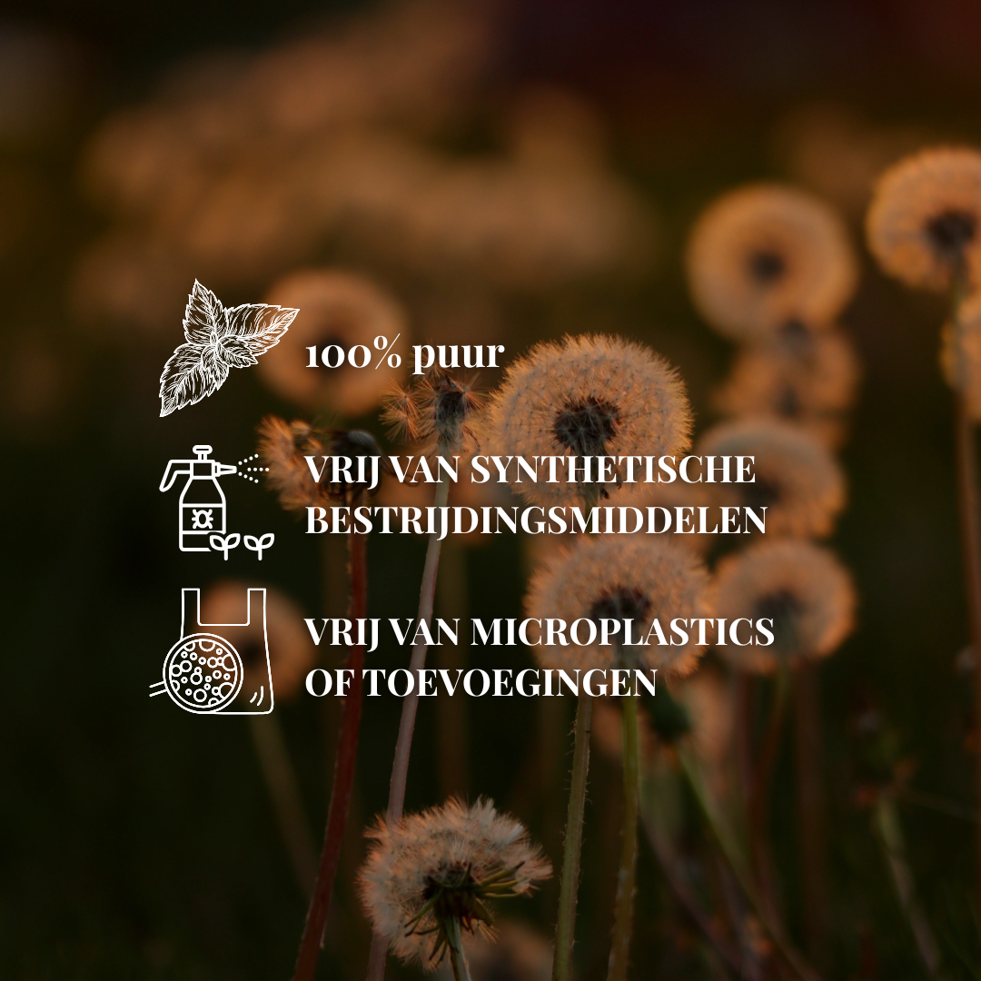 Paardenbloem thee 200 gram | wortel & bloem
