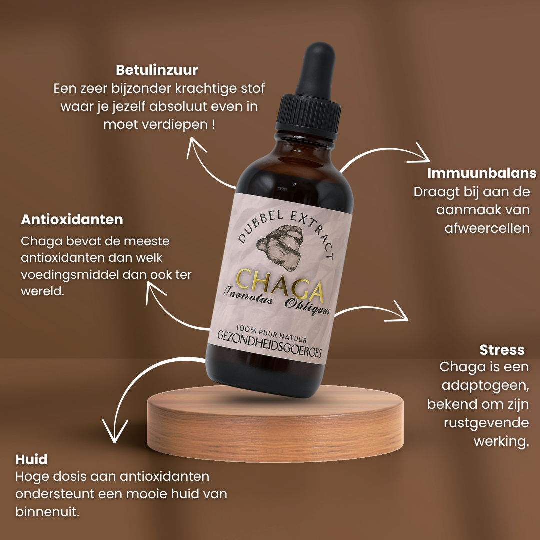 Chaga Extract 10:1 | Vloeibaar alcohol & water tinctuur.