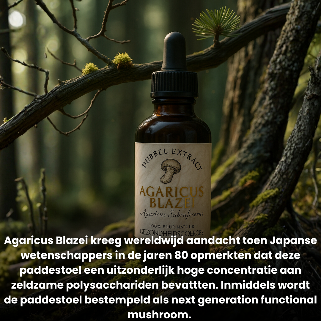 Agaricus Blazei Extract 10:1 | Vloeibaar alcohol & water tinctuur.