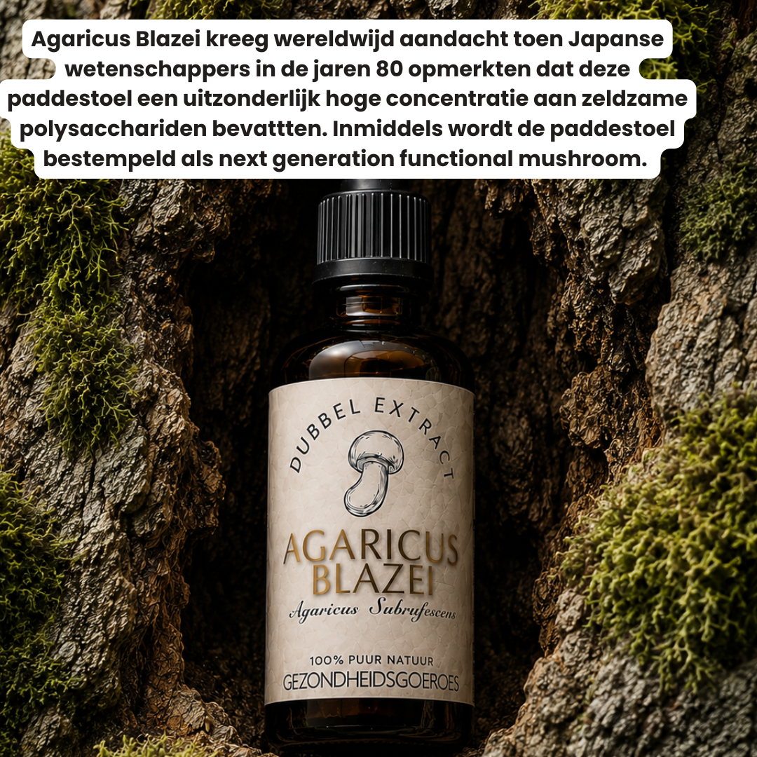 Agaricus Blazei Extract 10:1 | Vloeibaar alcohol & water tinctuur.
