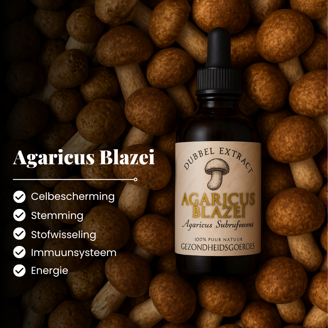 Agaricus Blazei Extract 10:1 | Vloeibaar alcohol & water tinctuur.