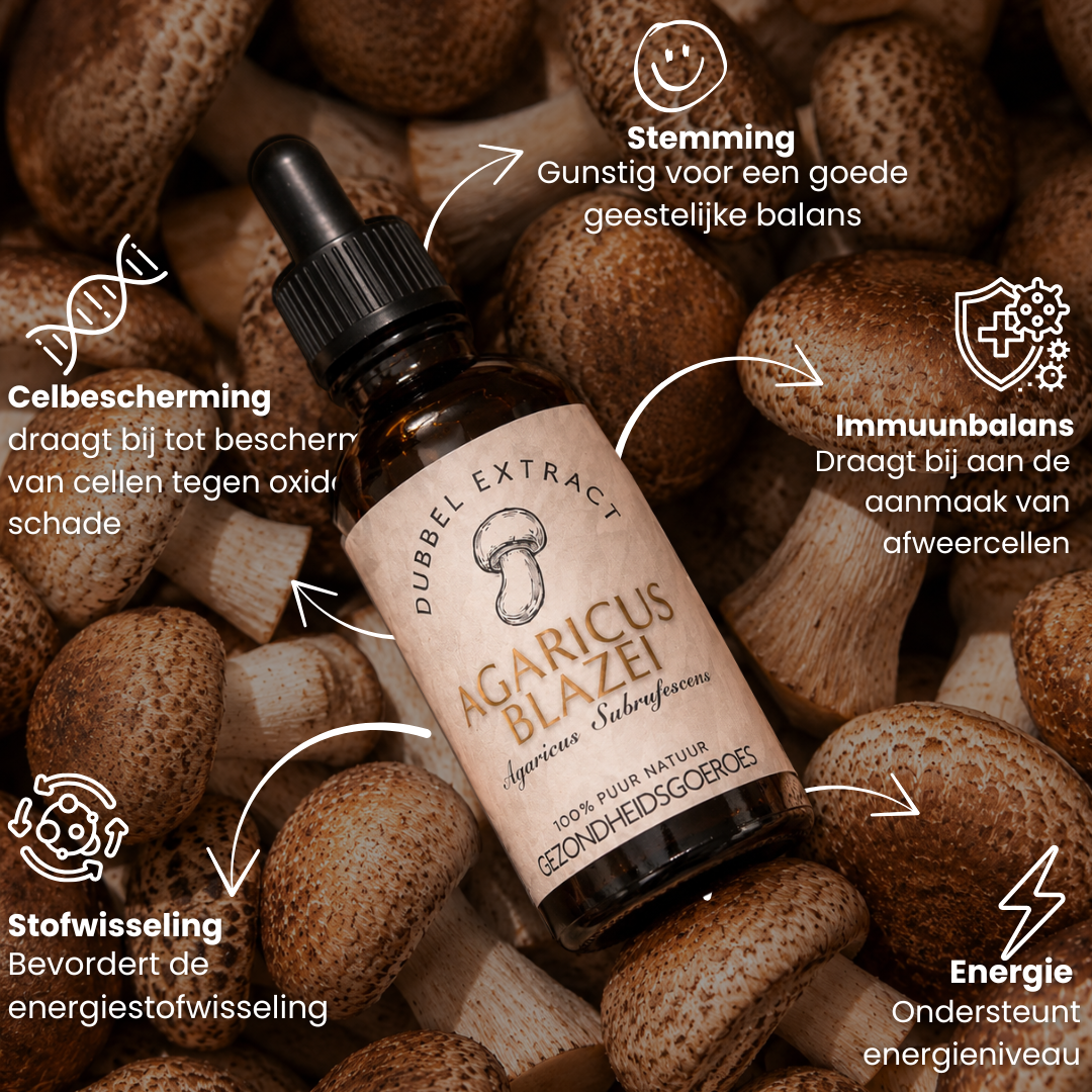 Agaricus Blazei Extract 10:1 | Vloeibaar alcohol & water tinctuur.