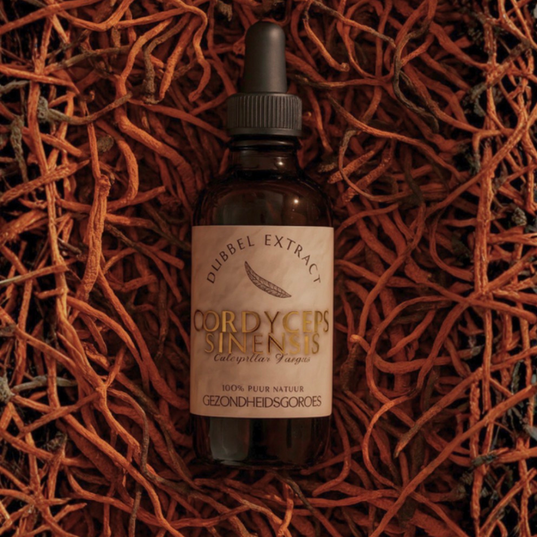 Cordyceps Extract 10:1 | Vloeibaar alcohol & water tinctuur.
