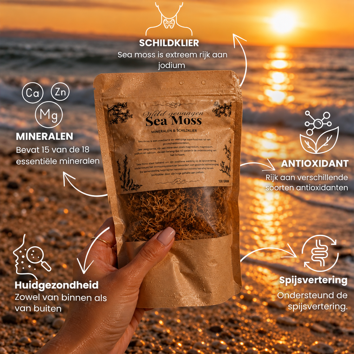 Sea Moss Wildgevangen Zongedroogd | 100 Gram - Mix goud & paars