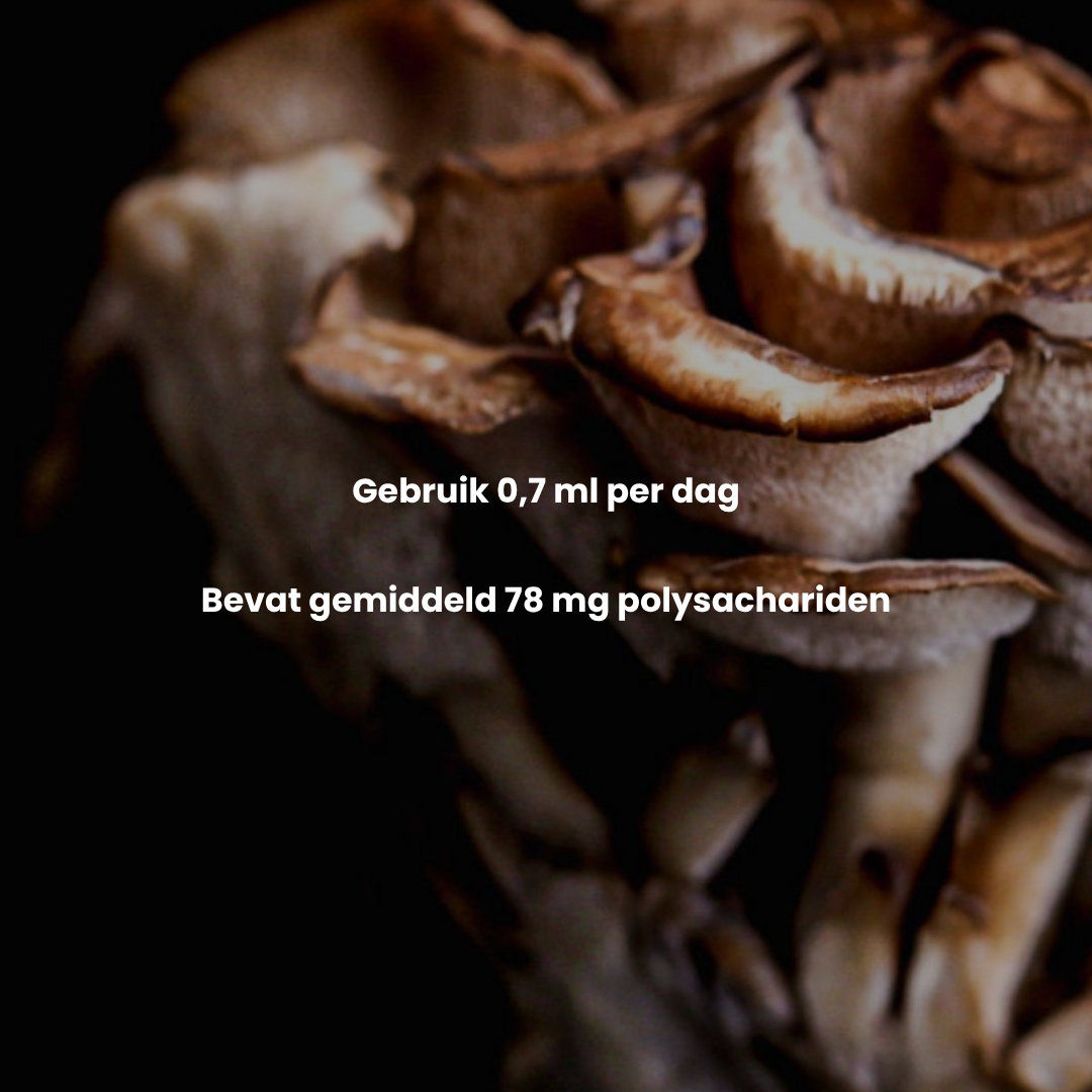 Maitake Extract 10:1 | Vloeibaar alcohol & water tinctuur.