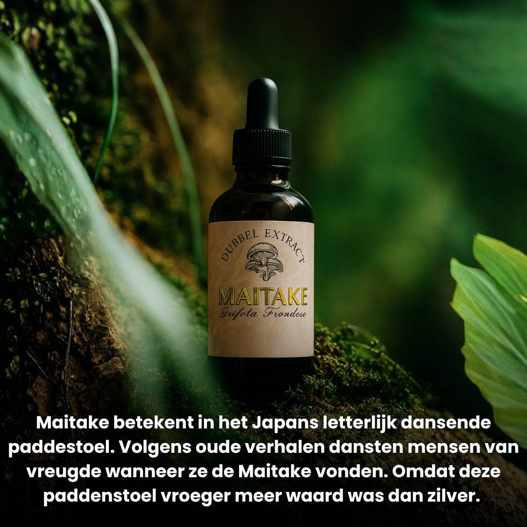 Maitake Extract 10:1 | Vloeibaar alcohol & water tinctuur.