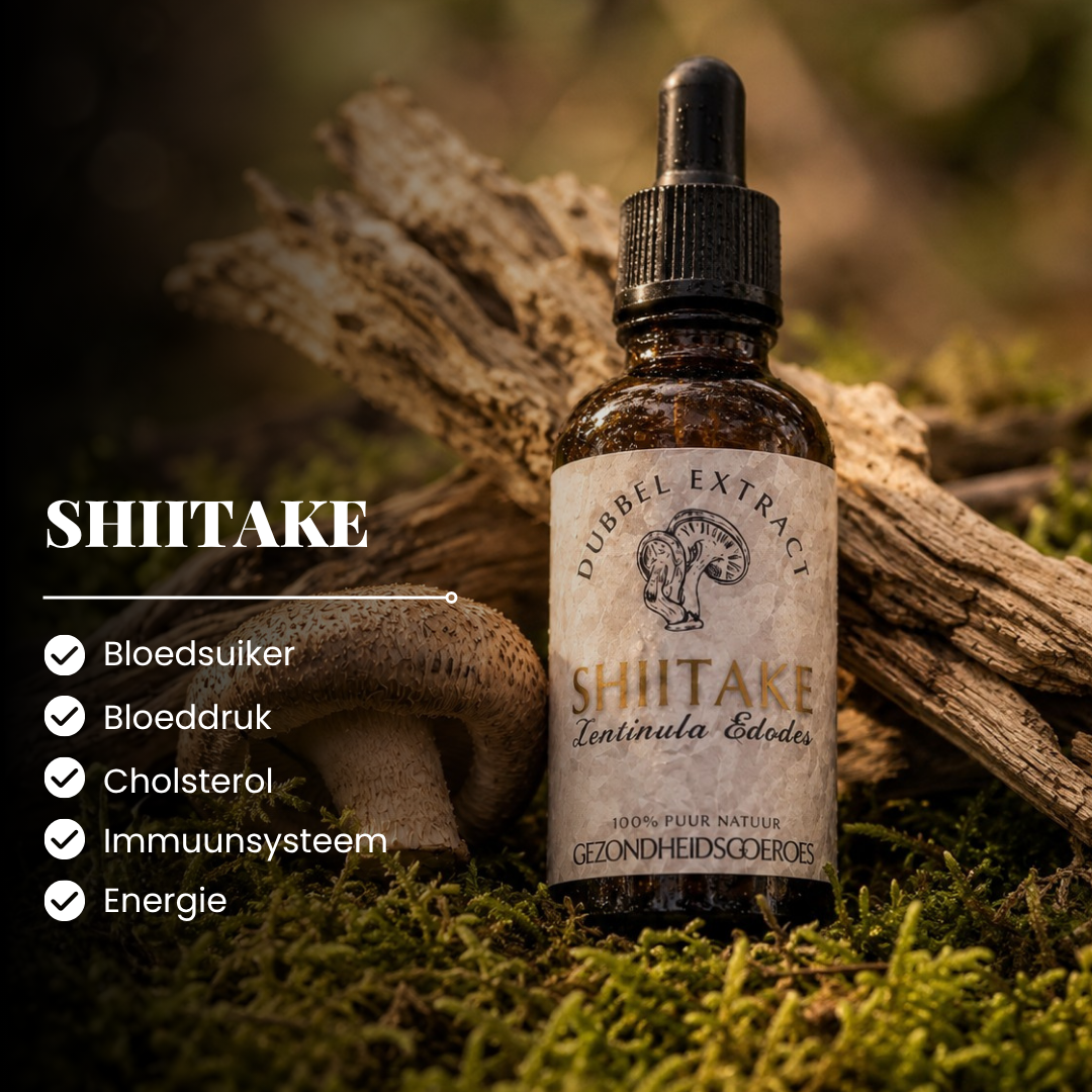 Shiitake extract 10:1 | Vloeibaar alcohol & water tinctuur.