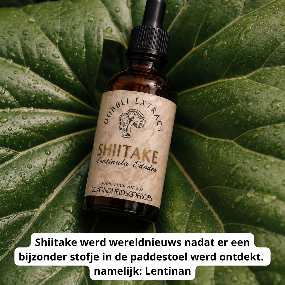 Shiitake extract 10:1 | Vloeibaar alcohol & water tinctuur.
