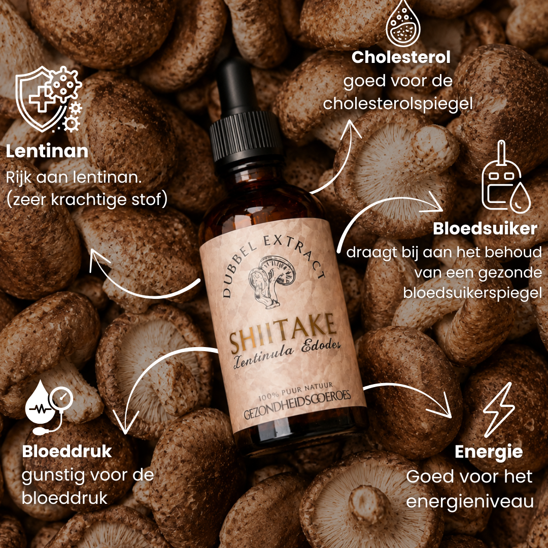 Shiitake extract 10:1 | Vloeibaar alcohol & water tinctuur.