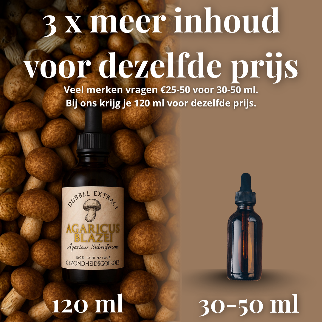Agaricus Blazei Extract 10:1 | Vloeibaar alcohol & water tinctuur.