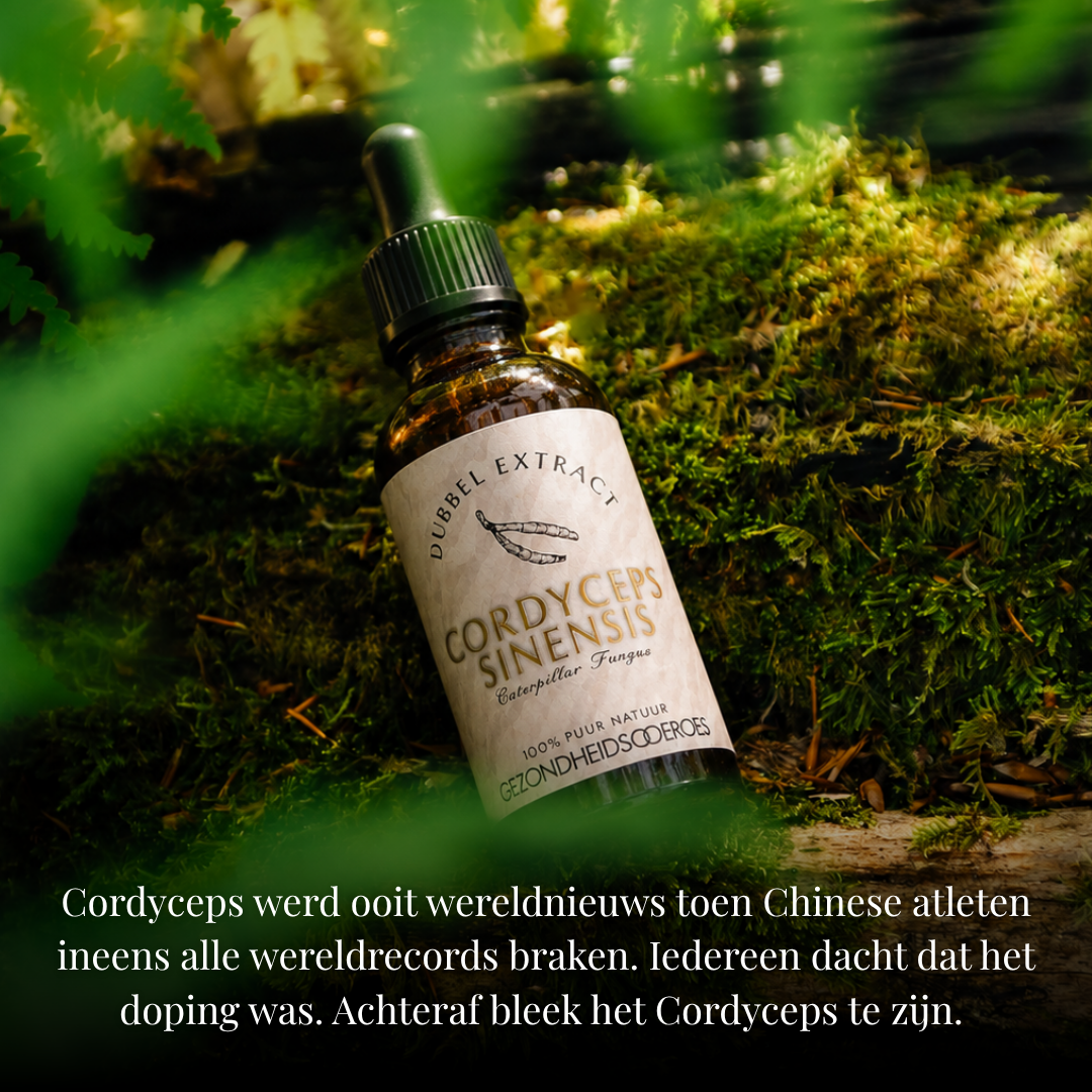 Cordyceps extract 10:1 | Vloeibaar alcohol & water tinctuur.