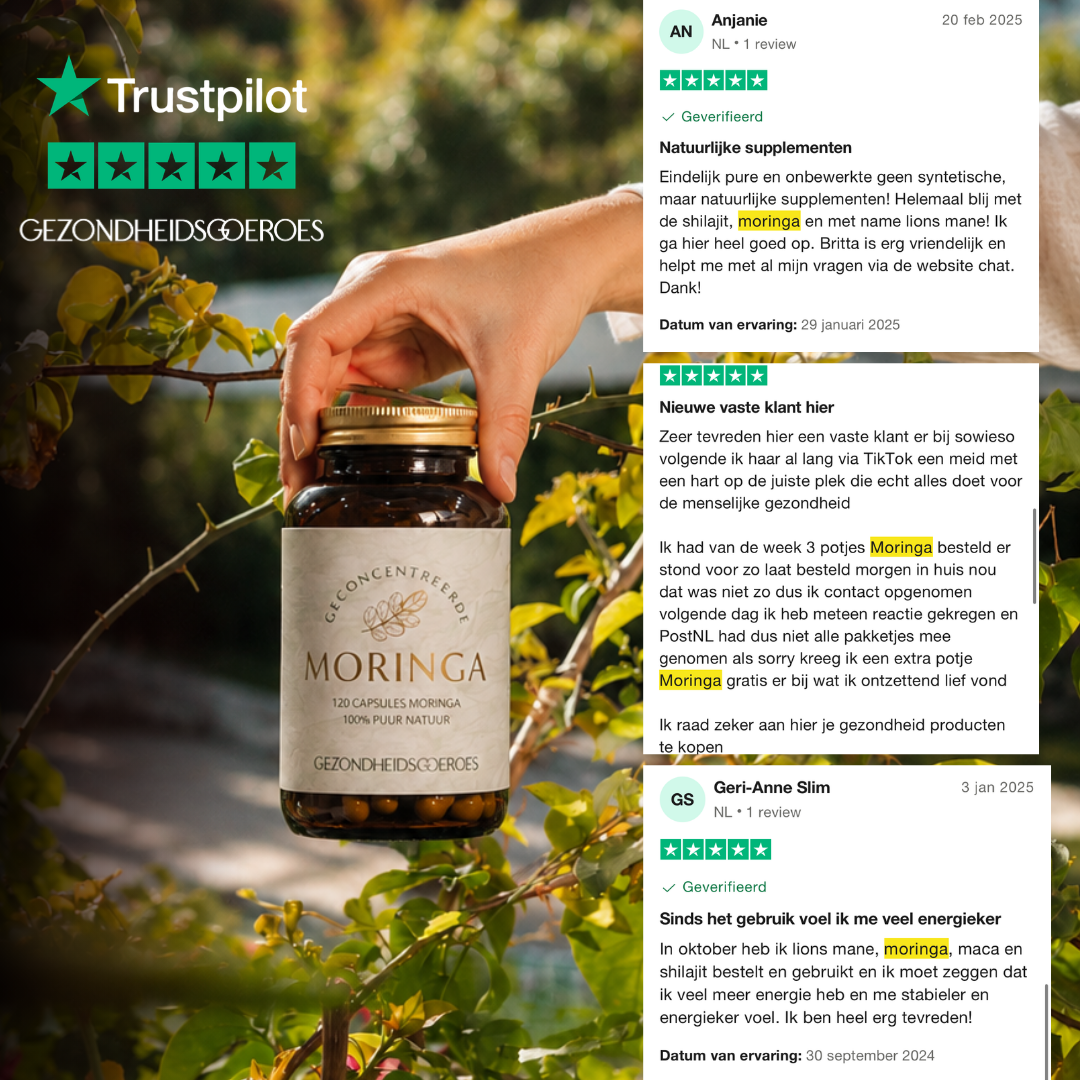 Moringa extract | 120 Capsules