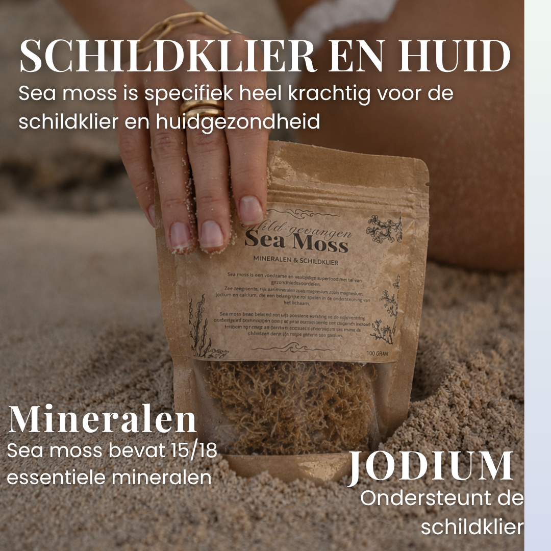Sea Moss Wildgevangen Zongedroogd | 100 Gram - Mix goud & paars